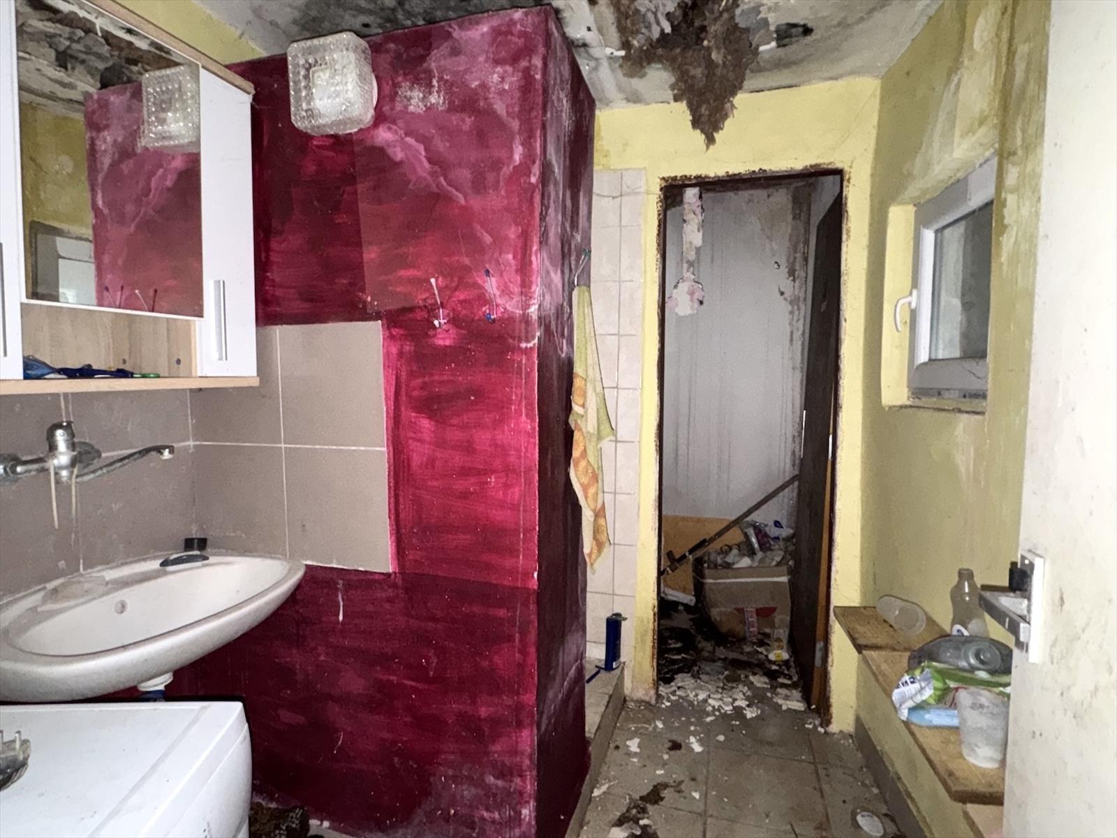 639034112664719424_IMG_9254 u.JPG